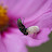 @mayabeejakubowska7677 Avatar