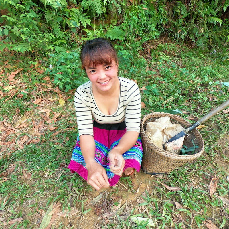 Primitive People tcx