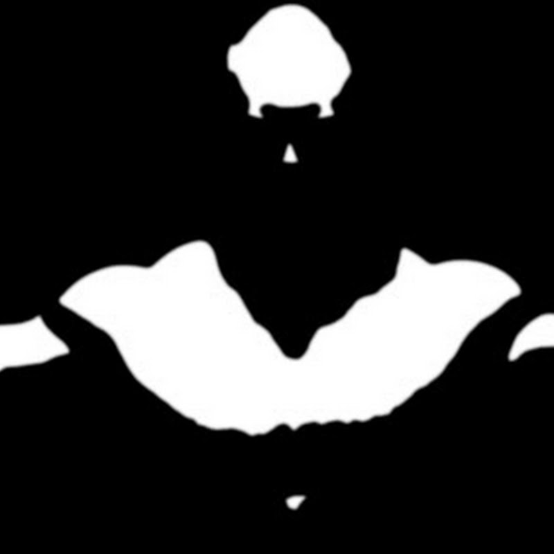 The BOUNCER CHANNEL - VIDEOS FROM THE B.R.A.W.L icon