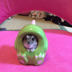 未来夢チャンネルアイコン画像