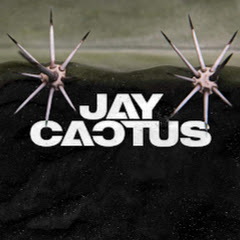 Jay Cactus Beats net worth