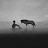 @ziya____2568