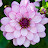 @marz6823 Avatar