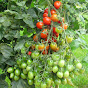 dergartenkanal Image Thumbnail
