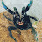 @michaelgledhill4360 Avatar