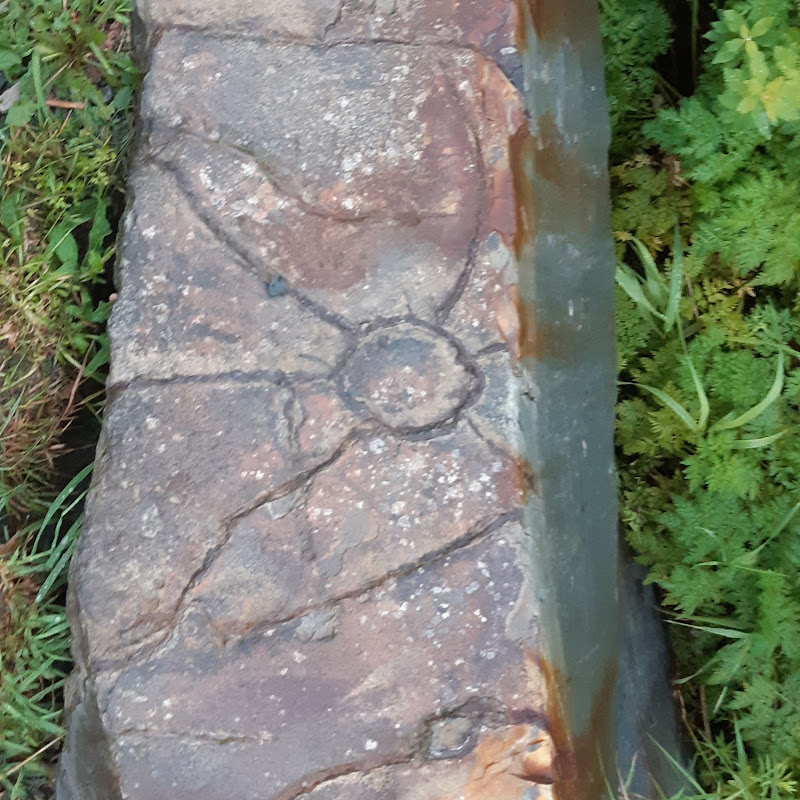 thegreenrock habits for your habitat