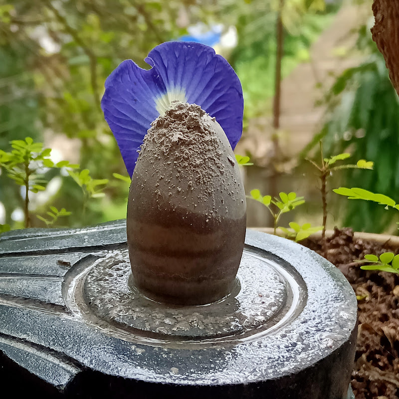 Astro Science With Remedies