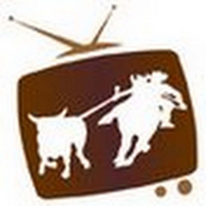 Kanal küçük resmi