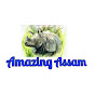 Amazing Assam logo