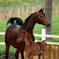 1234567890 1234567890