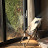 @user-wo7tp6eg5c