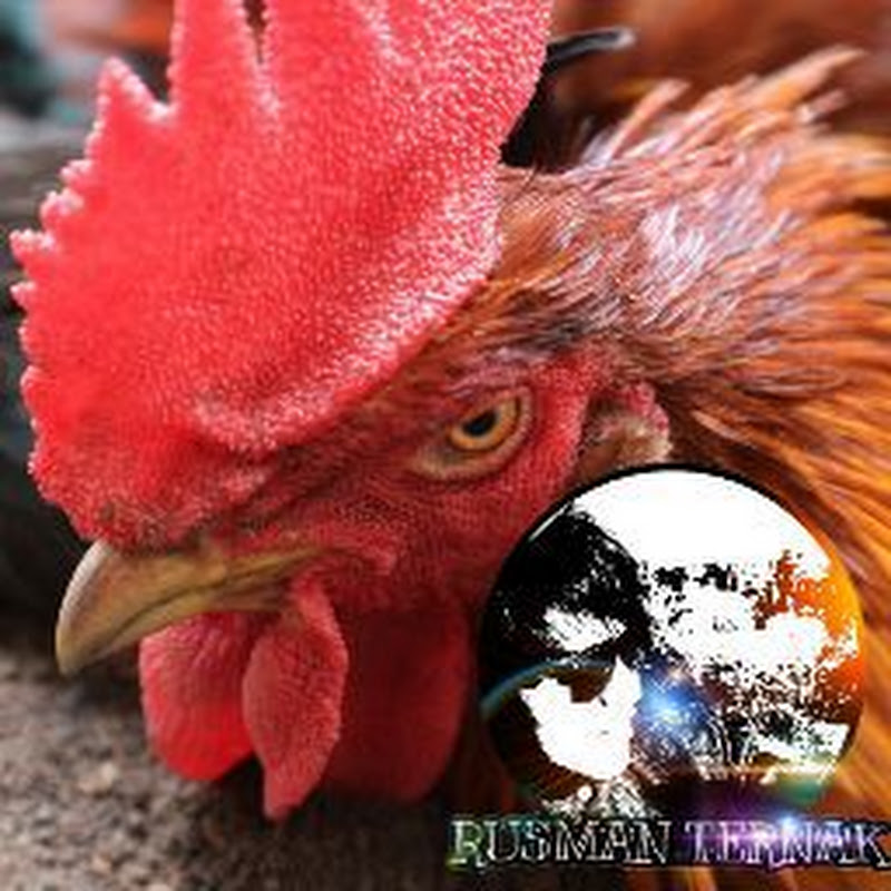 Rusman Ternak icon