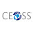 CEOSS org