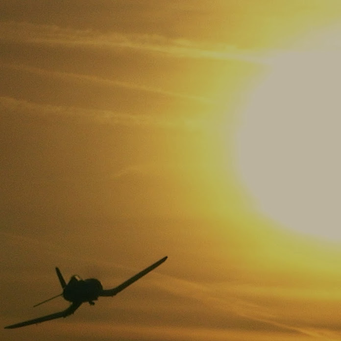 tbobborap1 Net Worth & Earnings (2025)