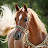 الصورة الرمزية لـ @asmaa1989