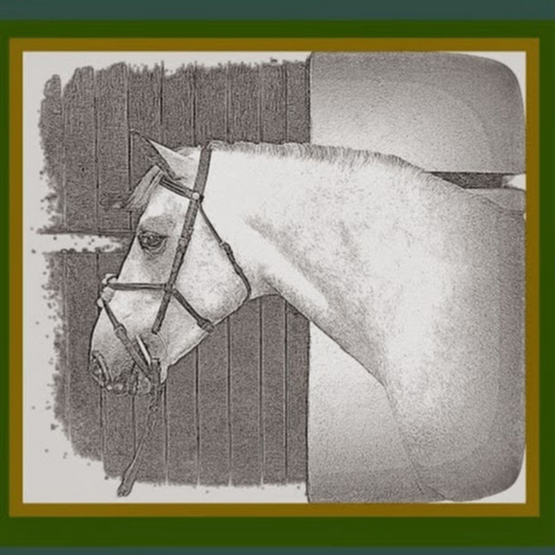 Rosscon Competition Horses