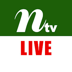 NTV Live Avatar