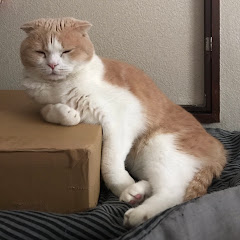 リルピザ