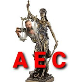 Auditing Erie County