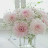 @emina7970