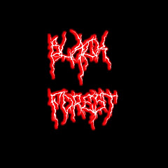 BLACK FOREST net worth