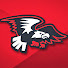 rYnF39Z4eKc-channel-avatar-CRMS Falcon Flash