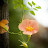 @user-cu7hh6dd7j