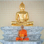 วัดป่าวิสุทธิคุณ