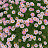 @user-iv3pi7qg1i