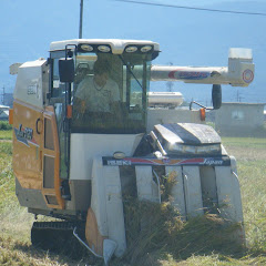 aono tatehiro (高田Ekono-A)