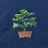 Dulur Bonsai