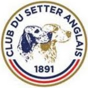 Club Setter Anglais