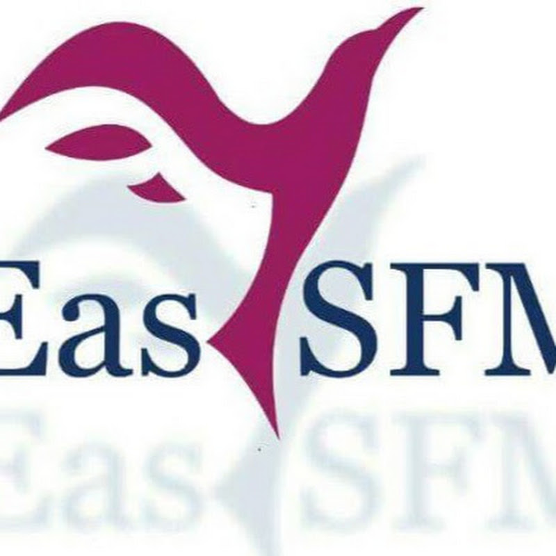 EasySFM