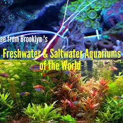 Thumbnail of related channel