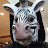 @nipuseless2558 Avatar