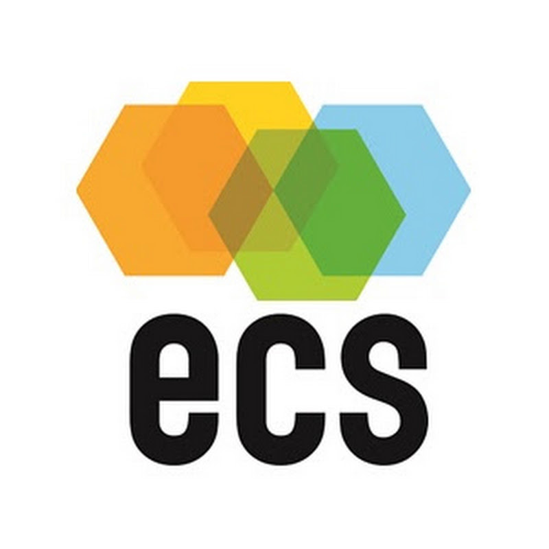Empirical Consulting Solutions