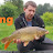 Carp Fishing Adventures