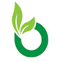 The Organikals logo