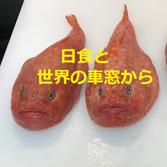 日食と世界の車窓からアイコン画像