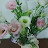 @쩡이-z7q8g