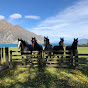 Adventure Horse Trekking NZ logo