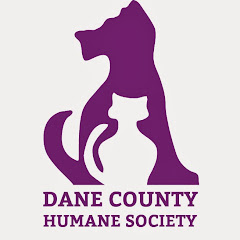 DCHSGiveShelter