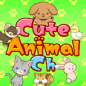 CuteAnimal Ch