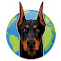 X_npS1yUG60-channel-avatar-Doberman Planet