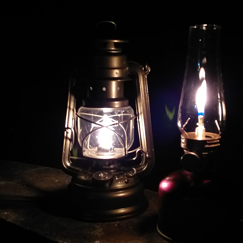 地球森林Earth Lam Logo