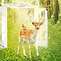 wESbaULRDSU-channel-avatar-wk Ngo