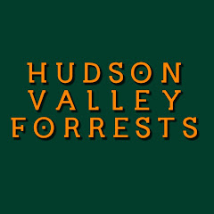 Hudson Valley Forrests