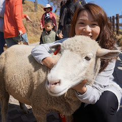 周曉涵アイコン画像