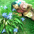 @riturawat9211 Avatar