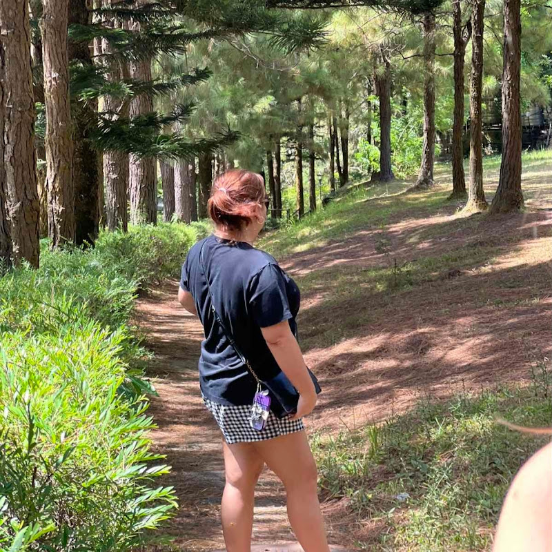 Toni Chua